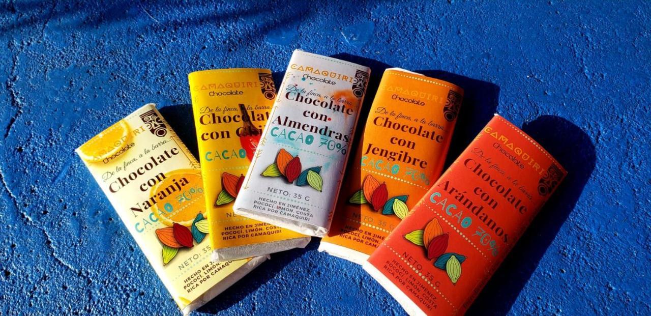 Lodge The Chocolate Jimenez